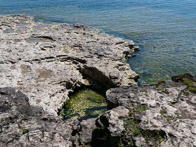 Rocky Shore at Cave Point