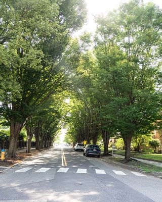Avenue of The Architects