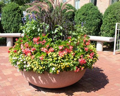 Planter