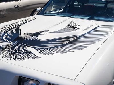 Pontiac Transam Hood-180142.jpg