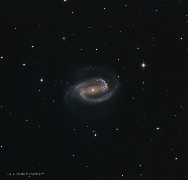 NGC 1300