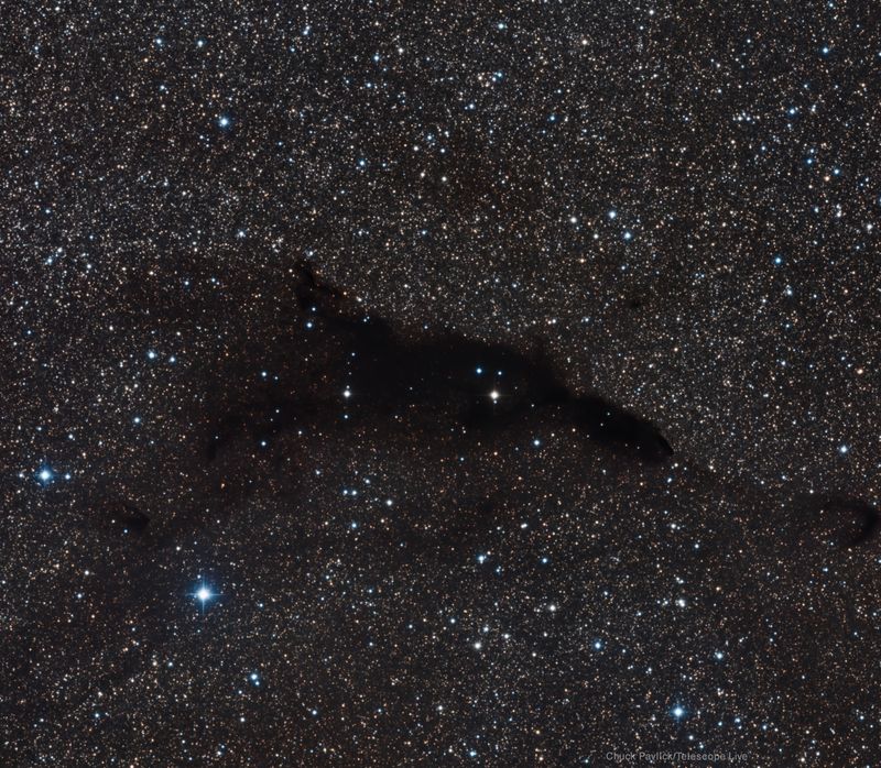 Barnard 252 the dolphin nebula