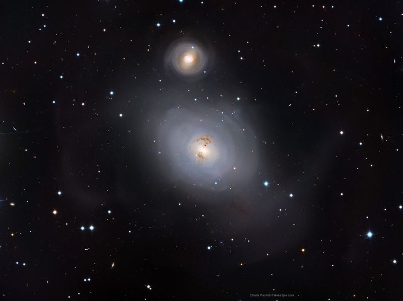 ngc1316