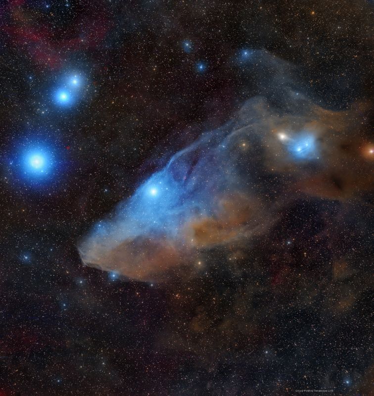 Blue Horsehead Nebula.