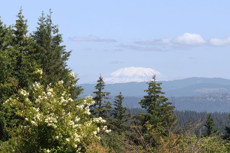 Mt St Helen from Powell Butte