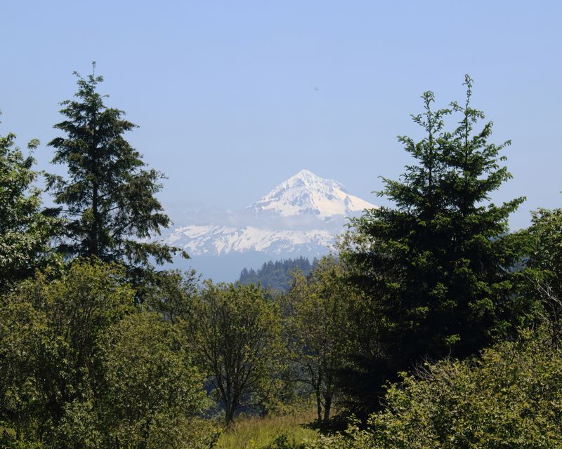 Mt Hood from Powell Butte