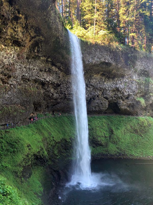 South Falls , Silver falls State Park