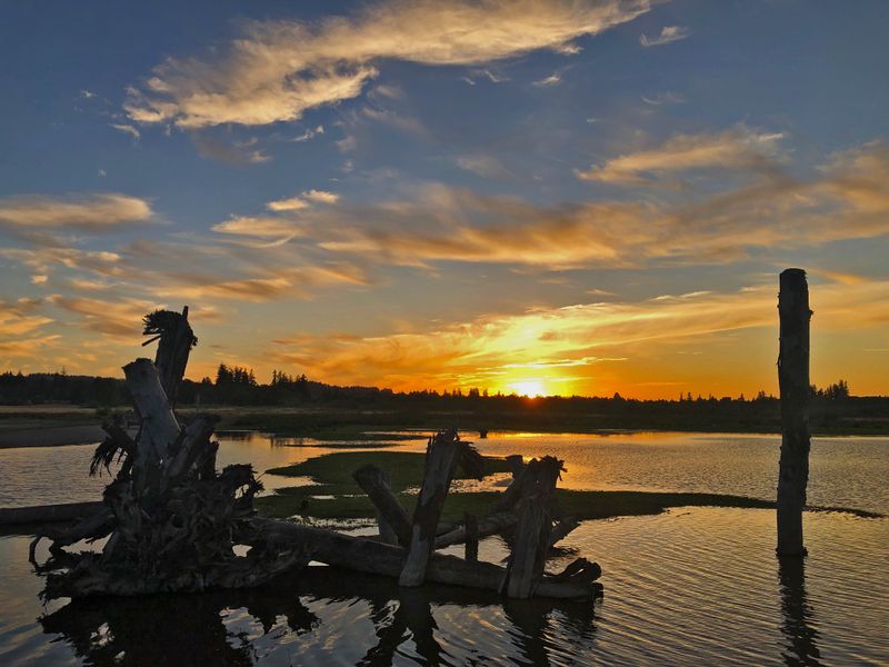 Sunset at Tualatin National Wildlife refuge