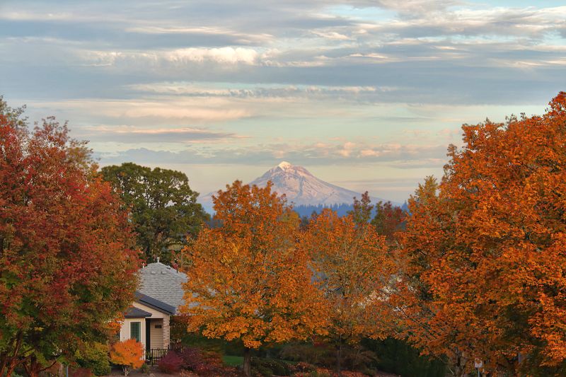 Mt Hood from entrance to my subdivision.