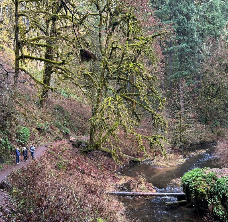 Silver Falls State Park