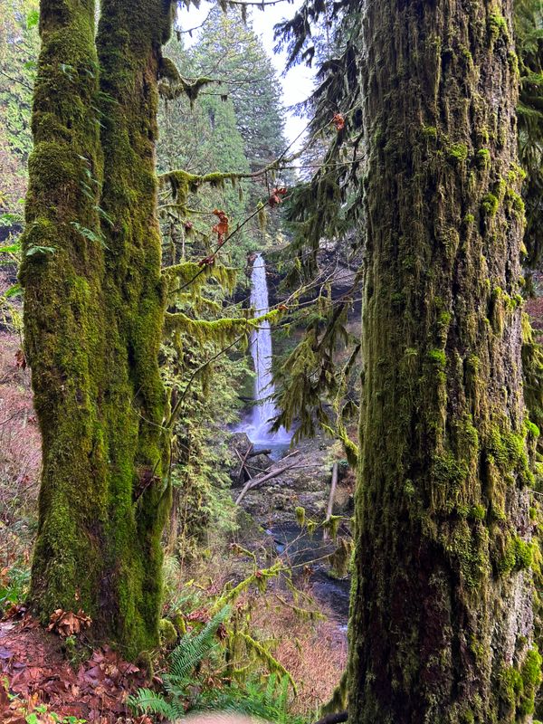 Lower North Falls Silver Falls State Park