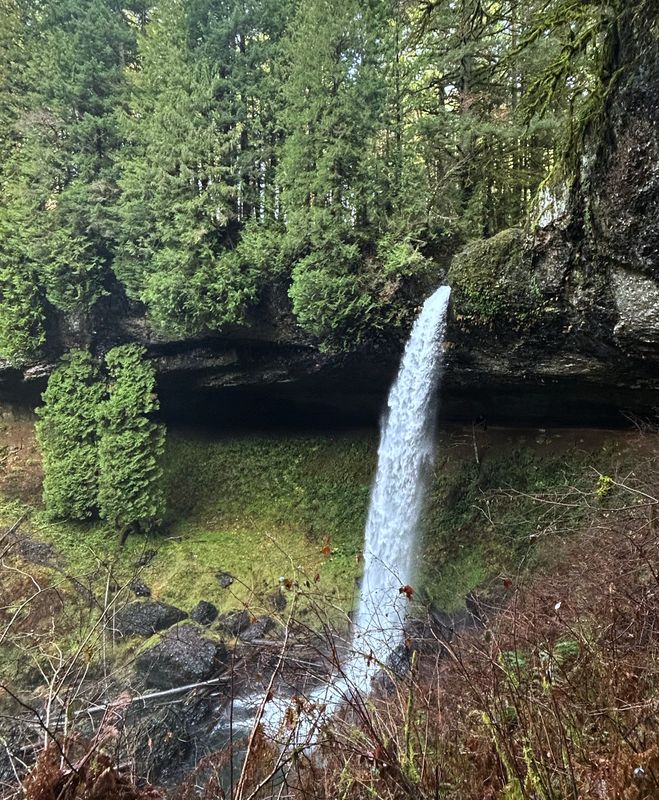 Lower North Falls Silver Falls State Park