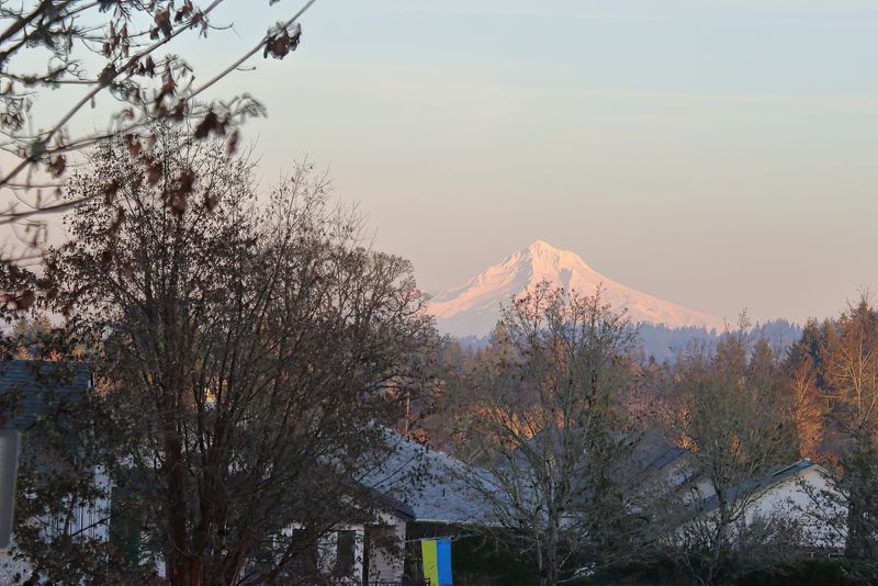 Mt Hood from Neighborhood