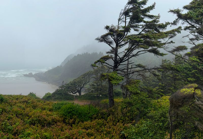 Cape Perpectua