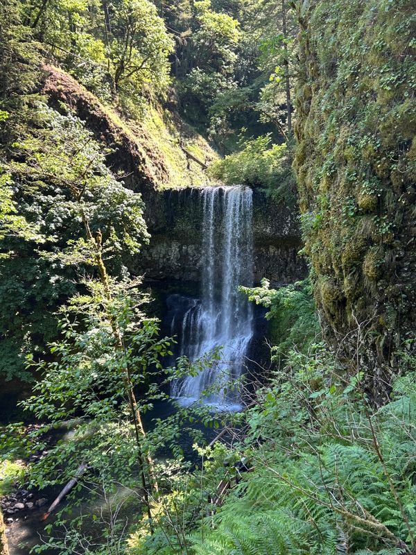oregon_2023_2024_2025