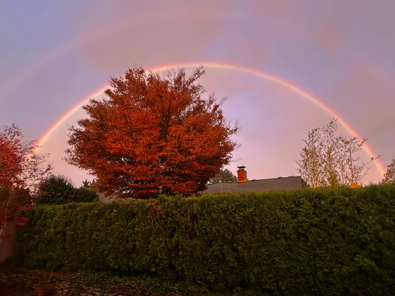 oregon_2023_2024_2025