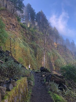 Trail to upper Horsetail Falls