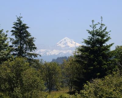 g13/41/749241/3/174607794.b37c7c06.JPEG