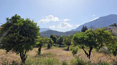 kemer40_z.jpg