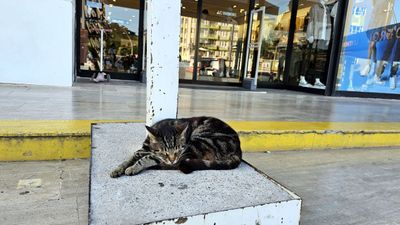 kemer12_z.jpg