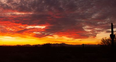 Sunset 1.15.2024