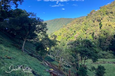 Los Quetzales NP (Providencia)