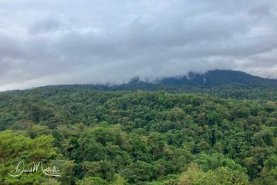 Mountain view of Braulio Carrillo NP (Heredia)