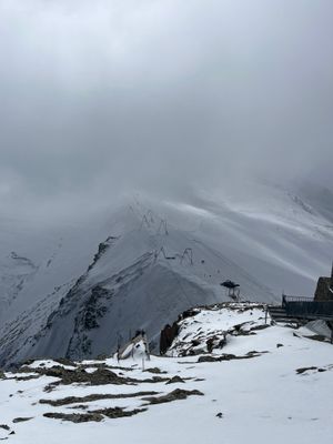IMG_7579.jpeg