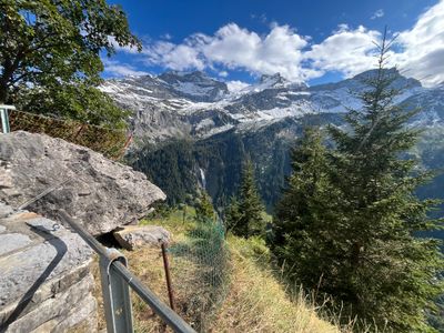 IMG_7684.jpeg