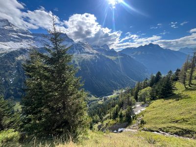 IMG_7685.jpeg