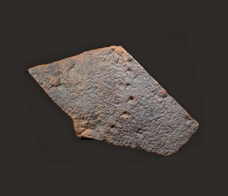 Horodyskia, 1.4 billion years, Australia, one of the oldest multicellular and coenocytic macro-organisms