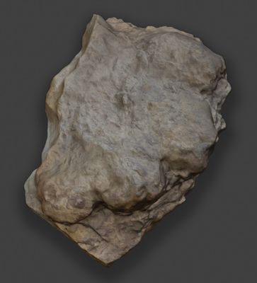 Sauropod dinosaur print, 40 cm across, Scalby Formation, Middle Jurassic, Burniston Bay, Yorkshire
