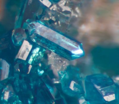 Caledonite crystals to about 1mm. Red Gill Mine, Red Gill, Caldbeck Fells, Cumbria.