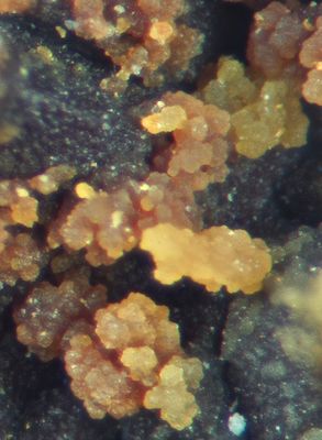 Hinsdalite crystals, Saddleback Old Mine, Glenderamackin Valley, Mungrisdale, Cumbria.