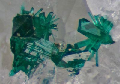 Brochantite microcrystals. Roughton Gill, Caldbeck Fells, Cumbria.