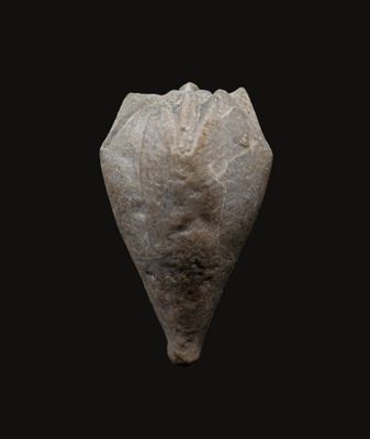 Heteroschisma, Devonian, Michigan