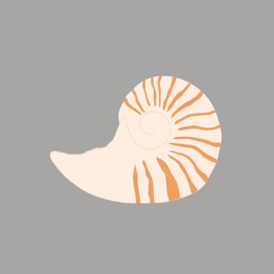 Fossils preserving colour patterns