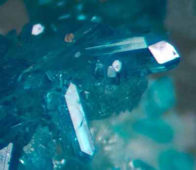 Caledonite gemmy crystals, Red Gill (old photo with combine ZP)