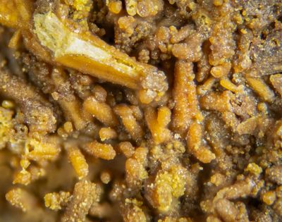 Hinsdalite crystals after pyromorphite, 3mm FOV, Saddleback Old Mine, Glenderamackin Valley, Mungrisdale, Cumbria. 