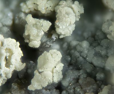 Scorodite, Brandy Gill Mine, FOV 3 mm