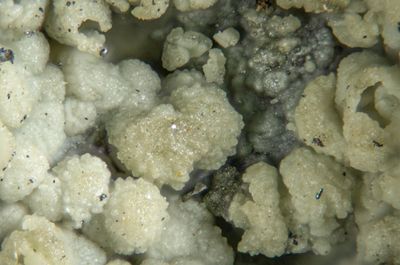 Caldbeck Fells Minerals