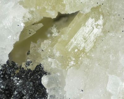 Sartorite (according to label), FOV 3 mm