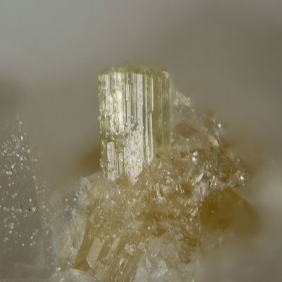 Dravite crystal, Lengenbach, FOV 3 mm