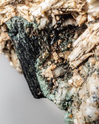 Alkaline Igneous Complexes