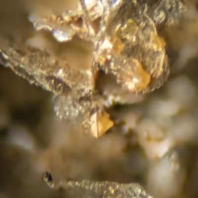 Alkaline Igneous Complexes