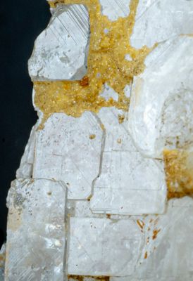 Alkaline Igneous Complexes