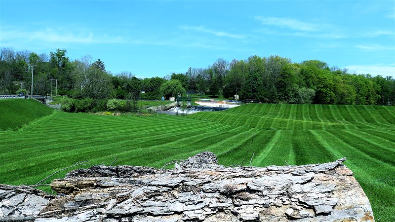 Freshly Mowed