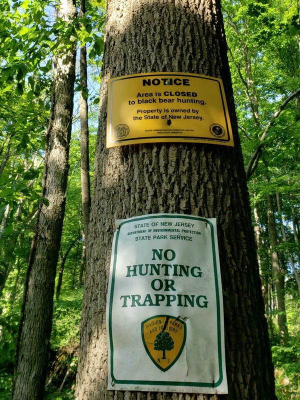 Self explanatory - We live in Bear Country