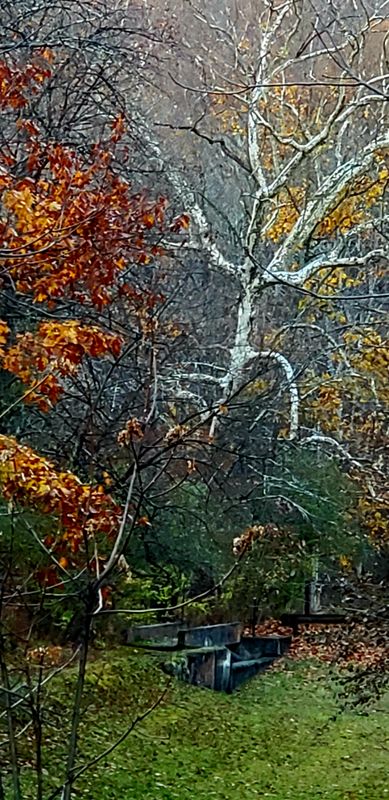 Wilderness around the dam of the Musconetcong river 