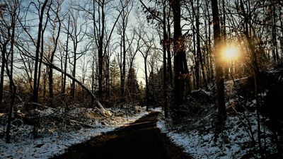 Wintry walk at Kittatinny Valley State Park